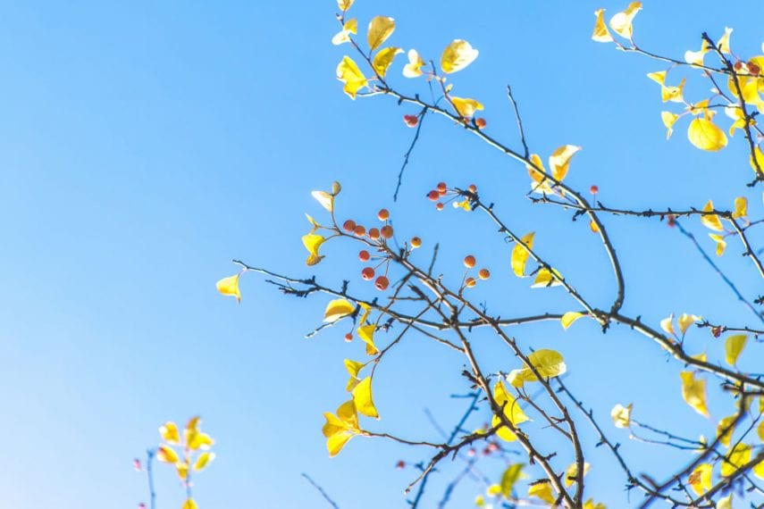 Residential Treatment Centers: Effective Solutions for Bipolar Disorder