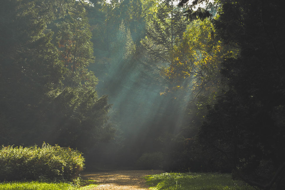 Forging A New Path: Exploring Treatment For Menopause-Related Depression