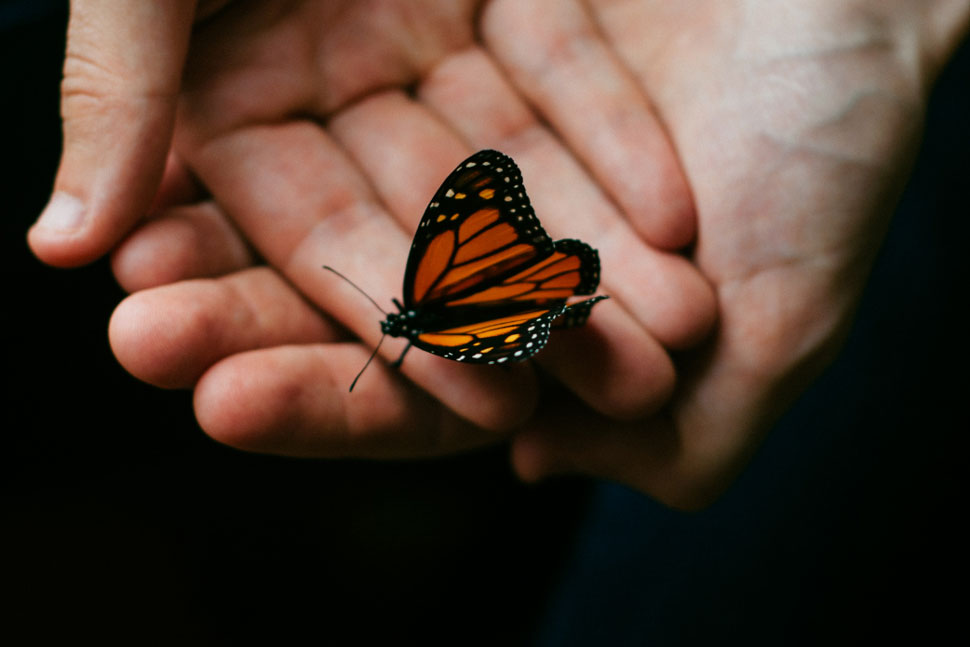 Healing Hands: How Holistic Massage Therapy Can Help Treat Anxiety and Depression
