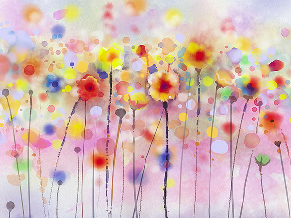 testimonial-field-of-flowers-pic