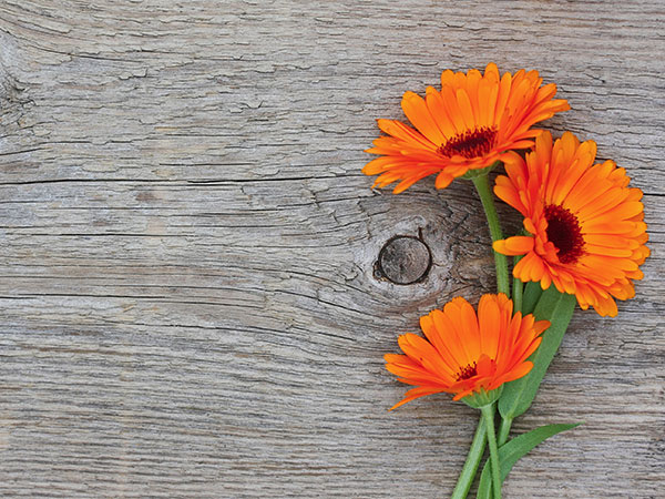 testimonial-flower-pic-1
