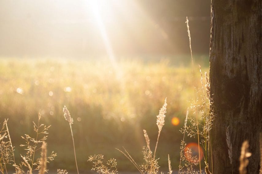 Bringing it to Light: Destigmatizing Bipolar Disorder