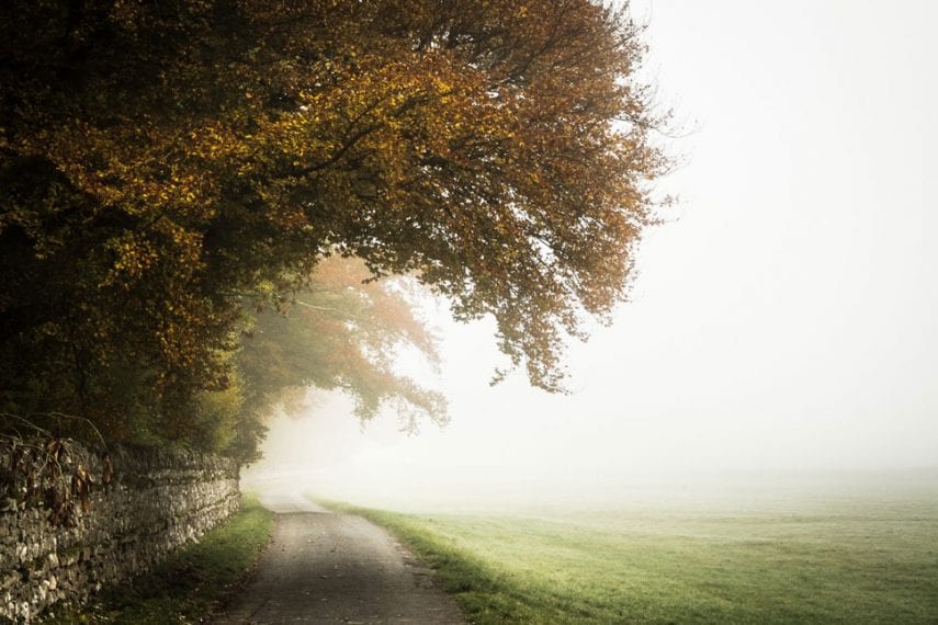 Depression, Anxiety, and Life’s Ups and Downs
