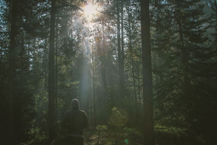 Getting to the Root of It: Borderline Personality Disorder Treatment Through Trauma-Focused Therapies