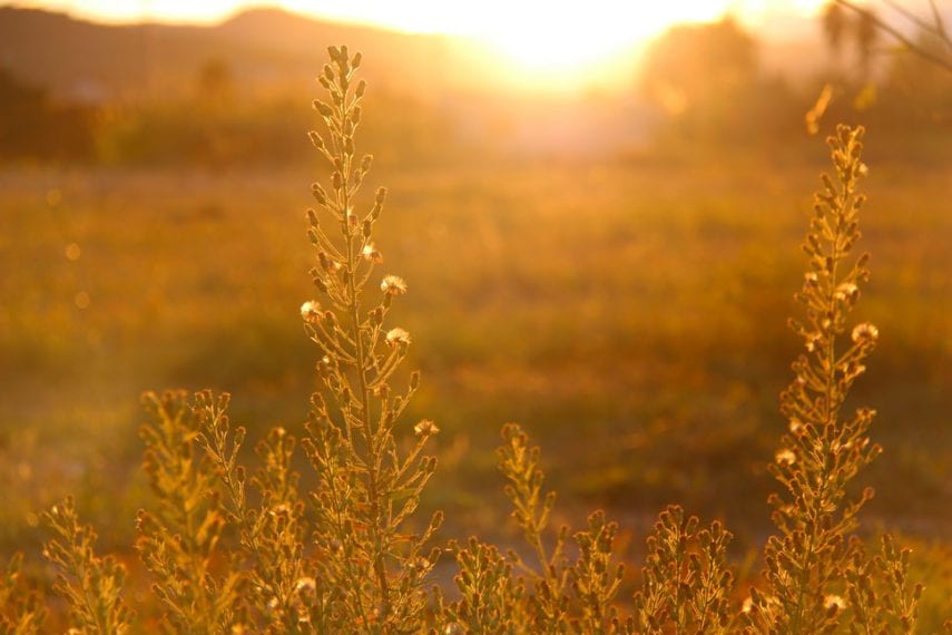 Making Your Golden Years Shine: Recognizing Depression in Seniors