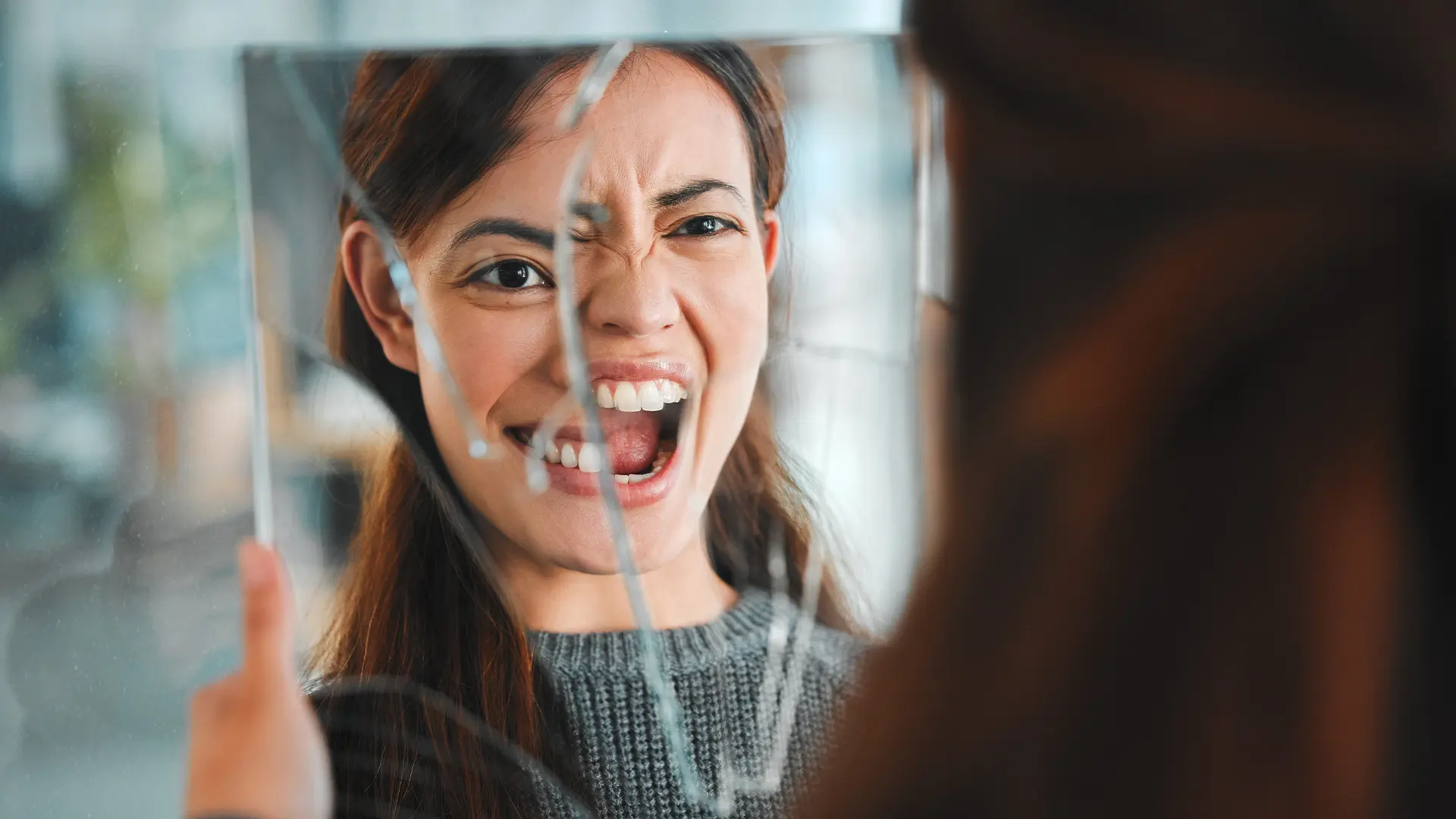 BPD Splitting and Manipulation Behaviors Explained