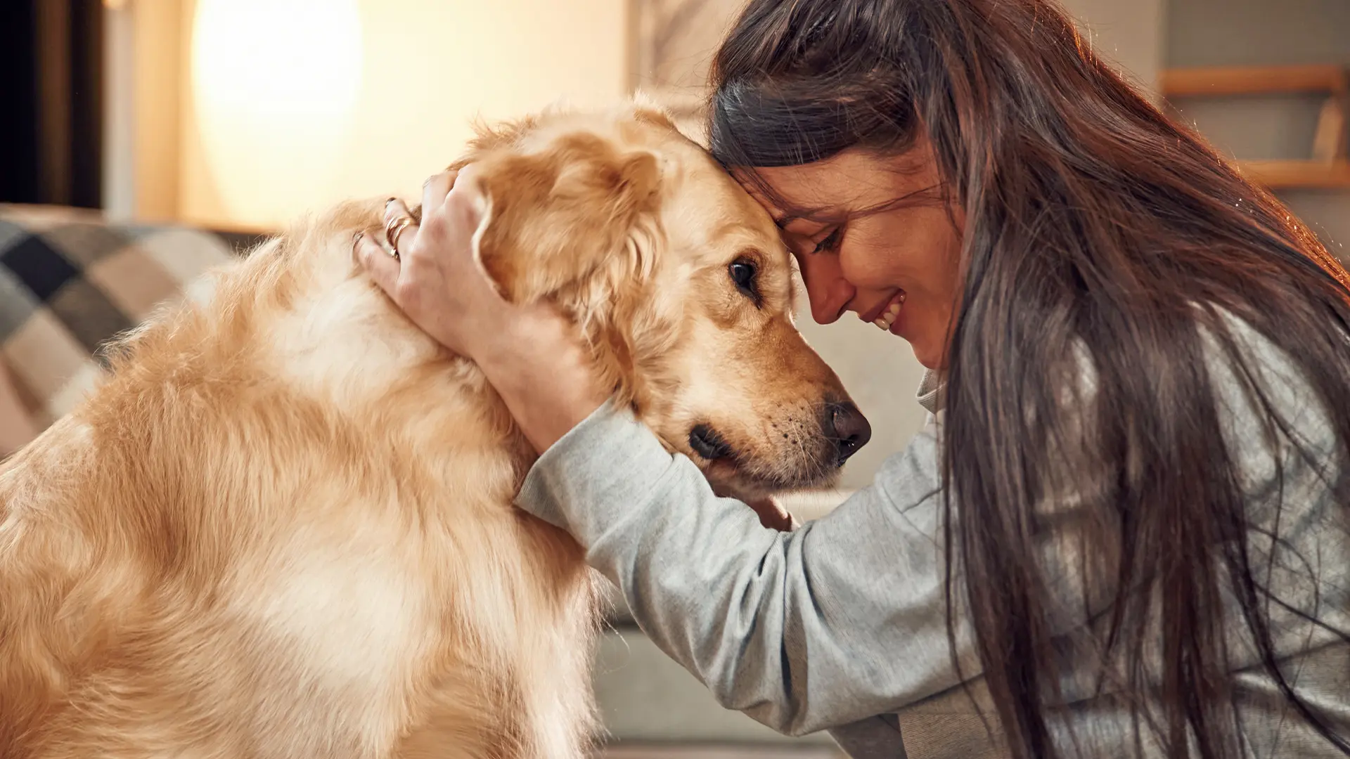 The Benefits of Pet-Friendly Mental Health Treatment